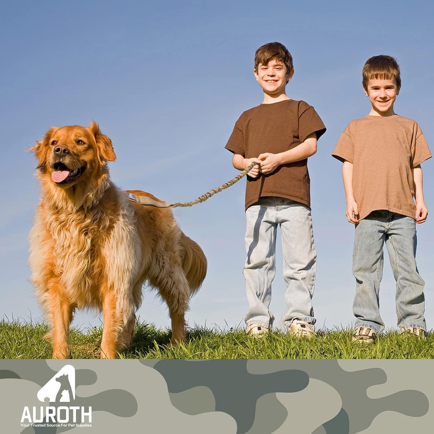 Heavy-Duty Bungee Dog Leash for Medium to Large Breeds, Shock Absorbing No-Pull Design with Car Seat Belt Attachment, Dual Padded Handles, Available in 4.5FT and 6FT Lengths for Training