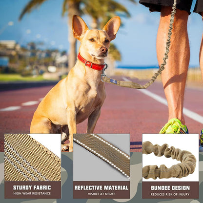 Heavy-Duty Bungee Dog Leash for Medium to Large Breeds, Shock Absorbing No-Pull Design with Car Seat Belt Attachment, Dual Padded Handles, Available in 4.5FT and 6FT Lengths for Training
