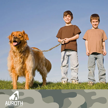 Heavy-Duty Bungee Dog Leash for Medium to Large Breeds, Shock Absorbing No-Pull Design with Car Seat Belt Attachment, Dual Padded Handles, Available in 4.5FT and 6FT Lengths for Training