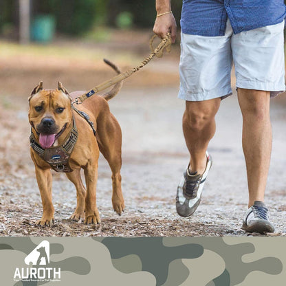 Heavy-Duty Bungee Dog Leash for Medium to Large Breeds, Shock Absorbing No-Pull Design with Car Seat Belt Attachment, Dual Padded Handles, Available in 4.5FT and 6FT Lengths for Training