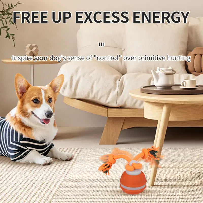 Smart Rolling Ball Toy for Dogs - Electric Interactive Training Ball for Indoor Use, Durable and Bite-Resistant Design for Enhanced Pet Stimulation and Boredom Relief